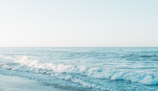 What Is the Heian Flea Market?