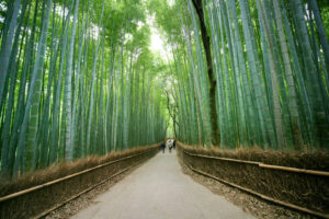 Arashiyama Bamboo Grove